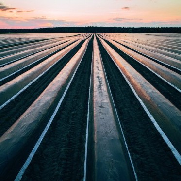 Agricultural Films photo