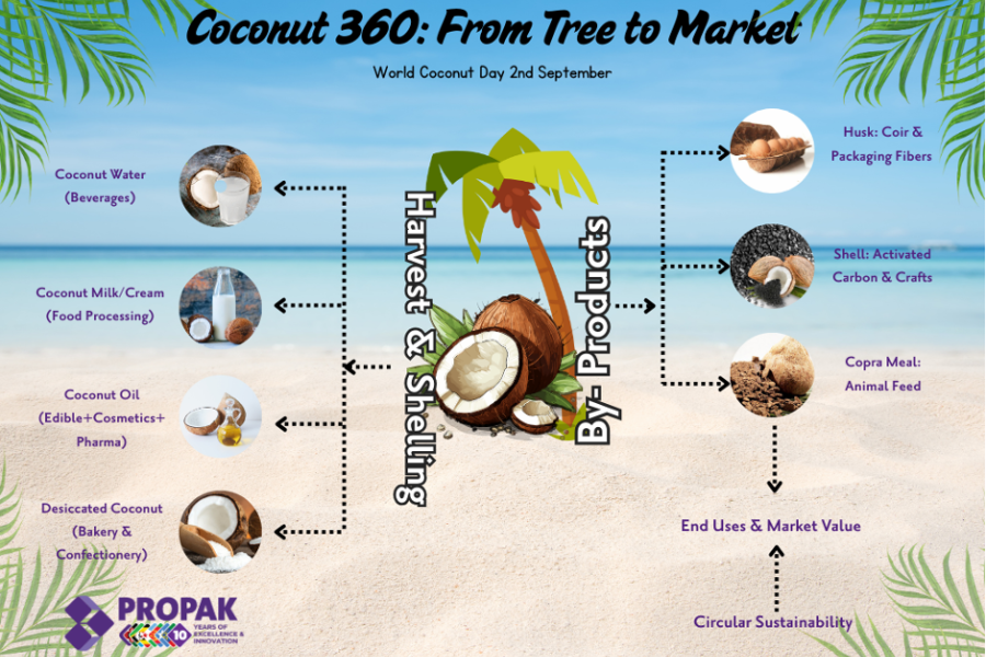 Africa’s Coconut Industry: Growth, Opportunities, and Market Potential image