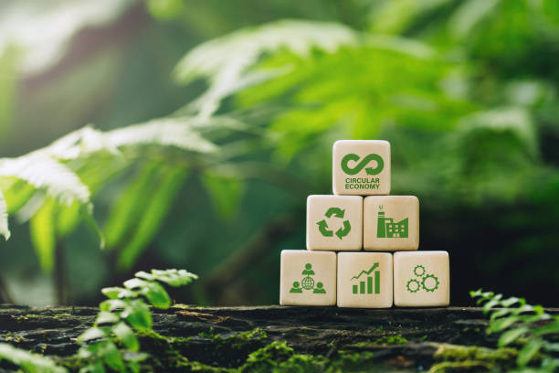 Sustainability in packaging 2023: Inside the minds of global consumers image