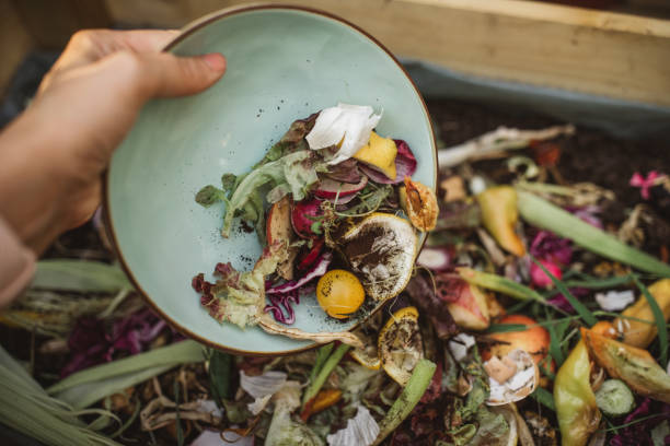 Packaging made from food waste could save millions of tonnes of produce from landfill image